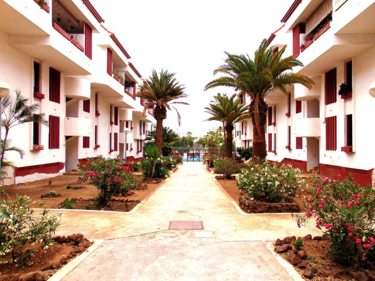 Apartment Altemar In Las Americas Playa de las Americas  Exterior photo